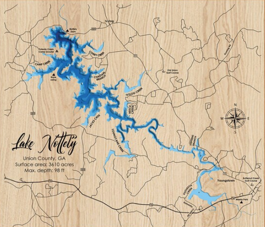 Lake Nottely 3D Framed Picture Map,  Wooden Engraved Map,